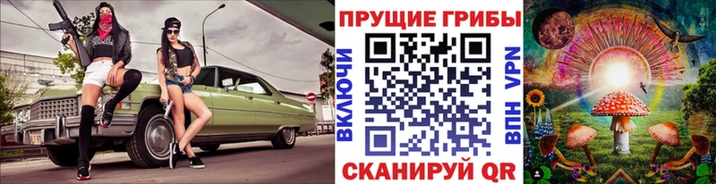 Галлюциногенные грибы Cubensis  площадка формула  Шацк  как найти закладки 