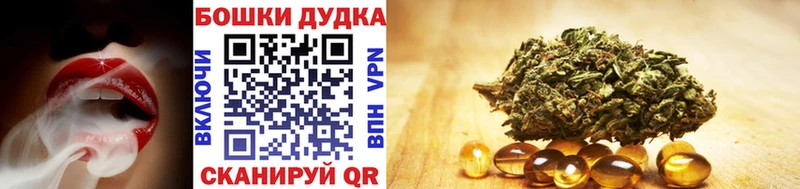 Конопля сатива наркошоп Шацк